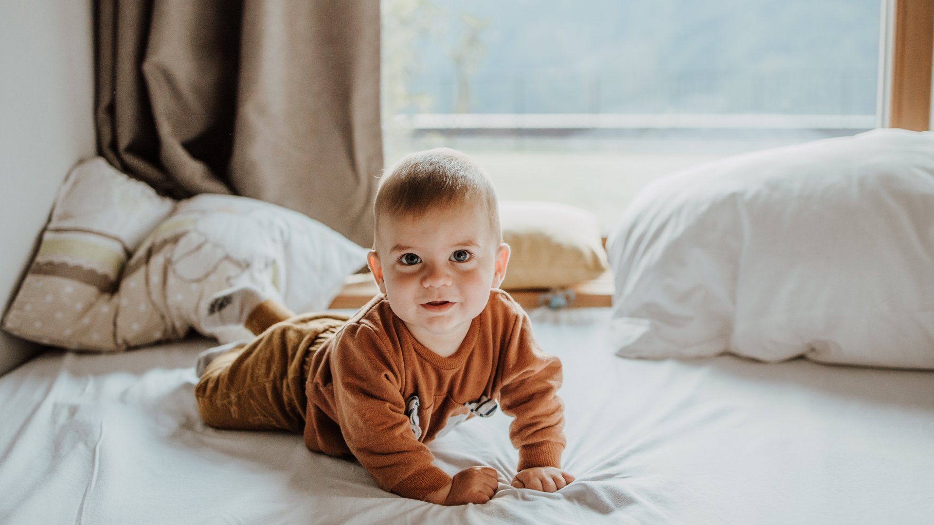 Das Mühlwald: perfekt sichtbar Das Mühlwald: perfekt sichtbar