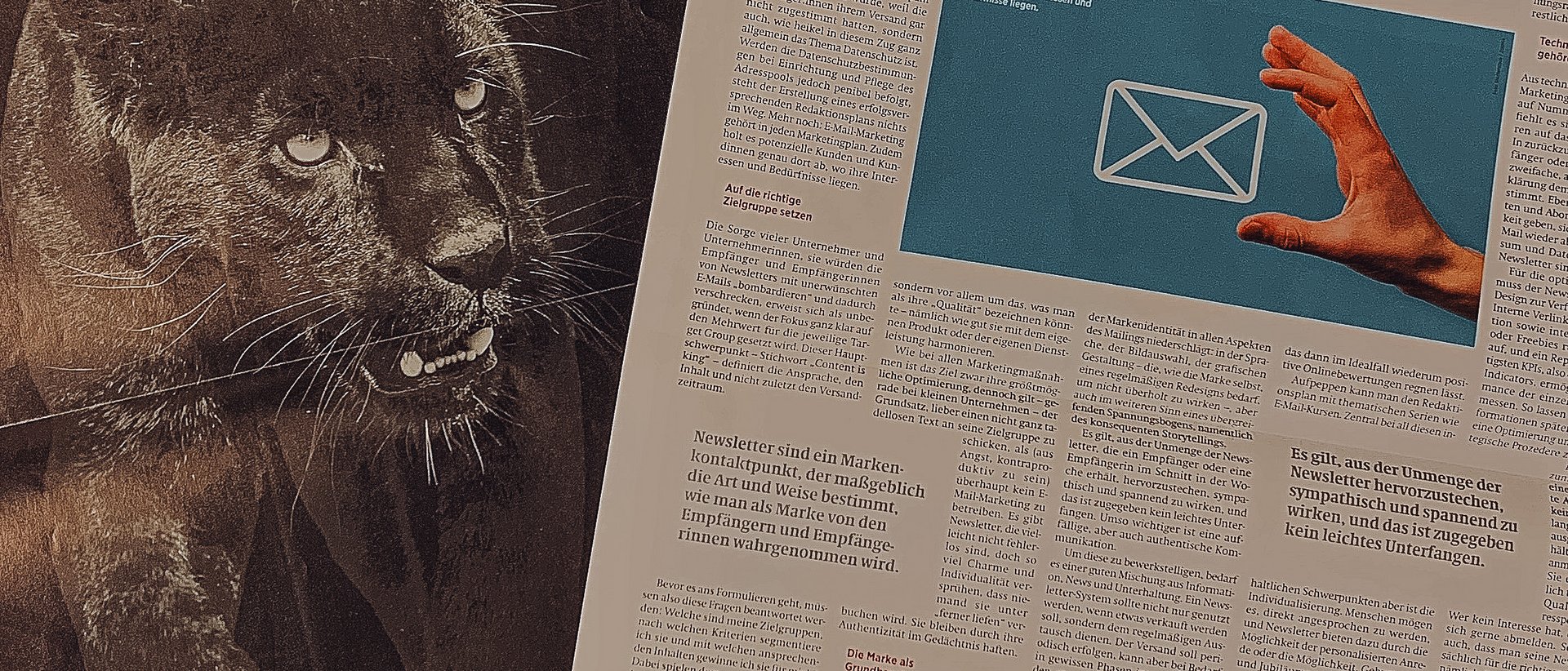 Newslettermarketing – der Marketingkanal-Allrounder für jedes Unternehmen Newslettermarketing – der Marketingkanal-Allrounder für jedes Unternehmen