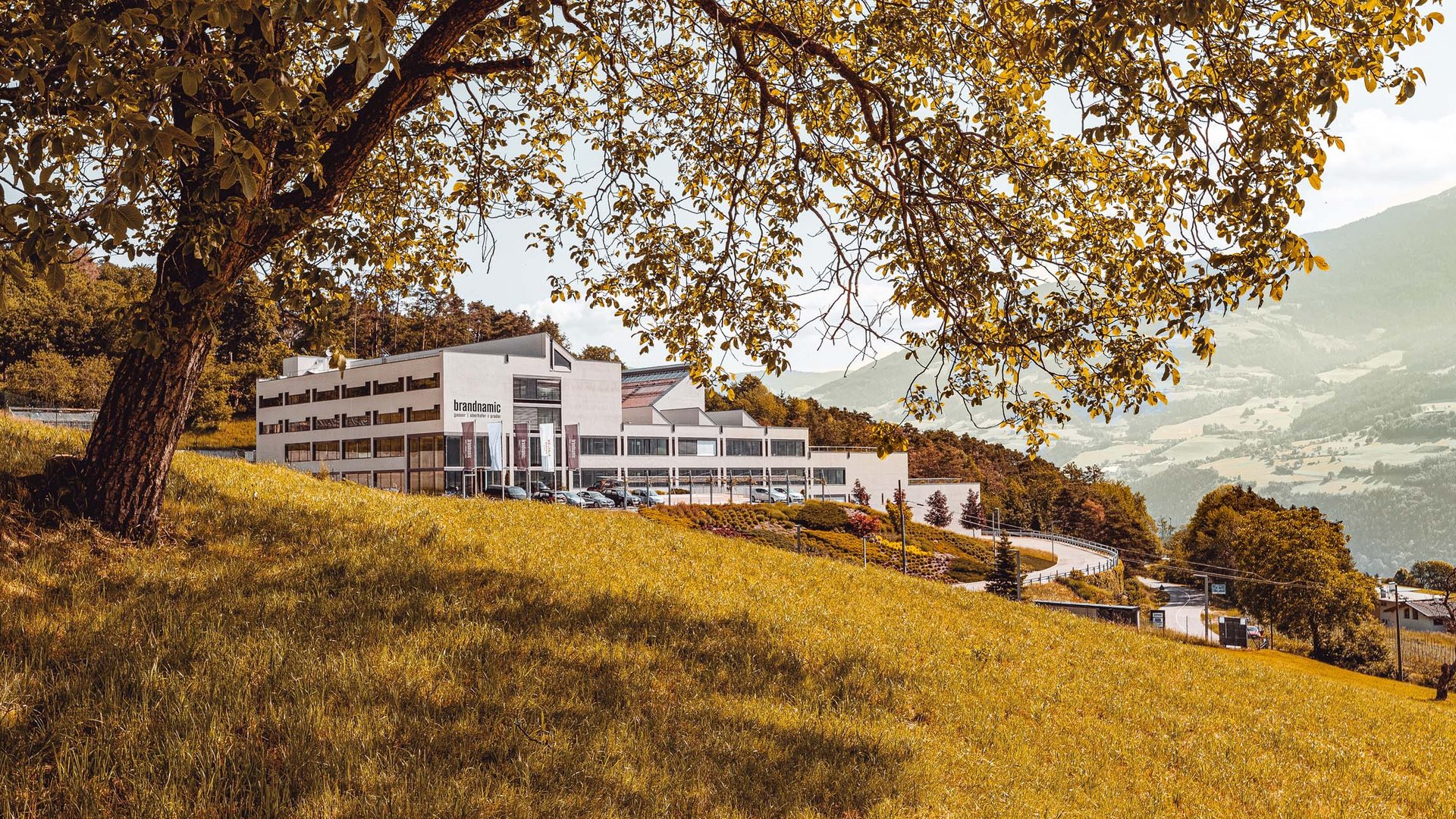 Full-Service-Marketingagentur Brandnamic Full-Service-Marketingagentur Brandnamic