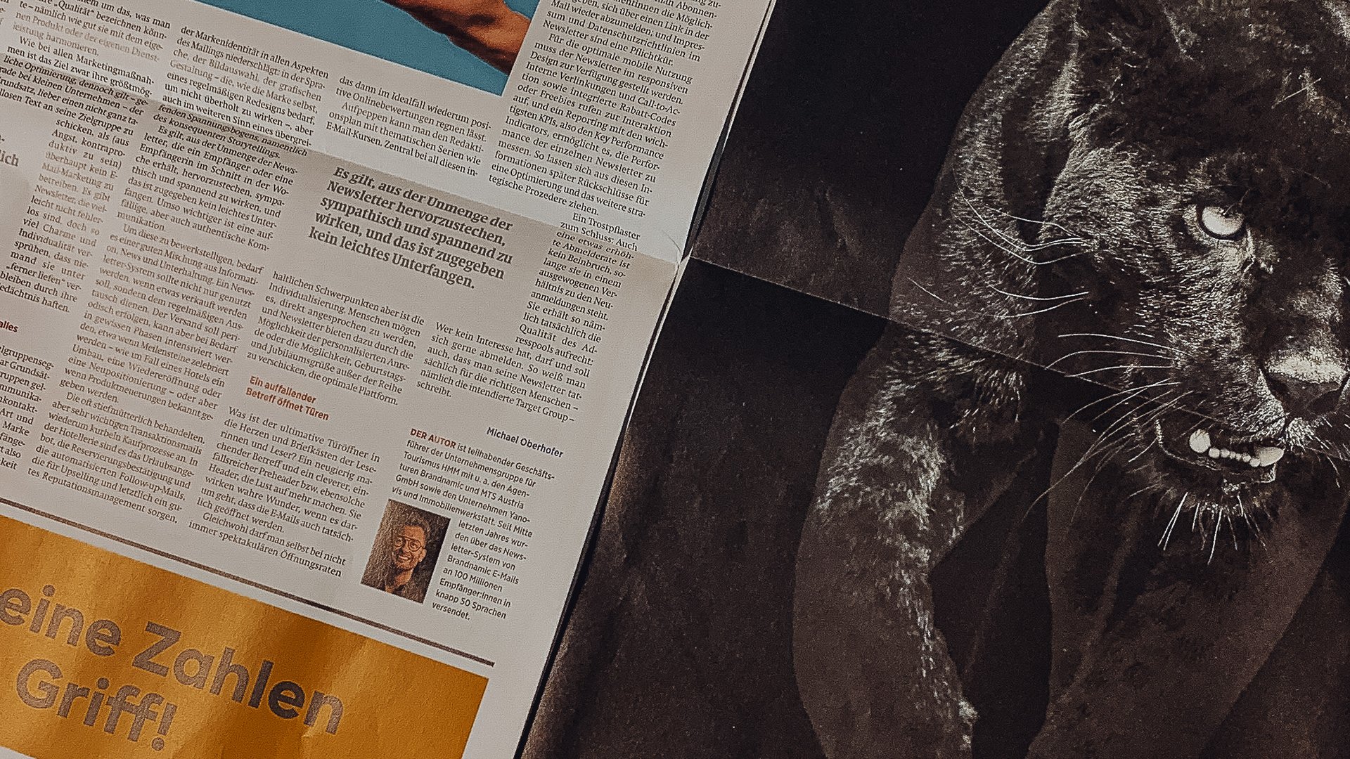 Newslettermarketing – der Marketingkanal-Allrounder für jedes Unternehmen Newslettermarketing – der Marketingkanal-Allrounder für jedes Unternehmen