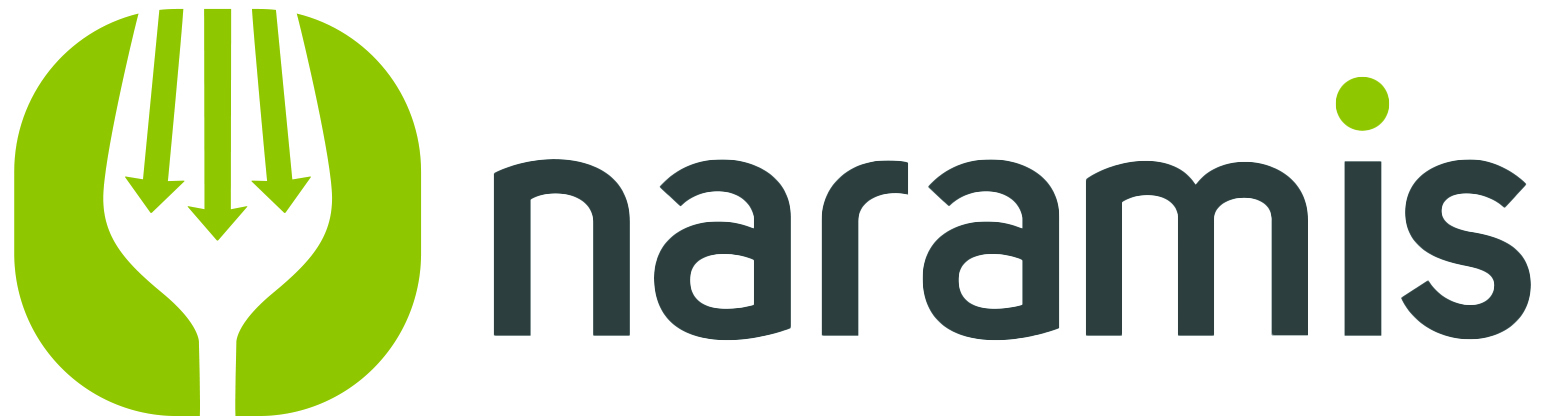 Logo POS Integration Naramis